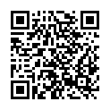QR code zu  Holzerhütte