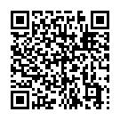 QR code zu Parkplatz Ibis / Novotel