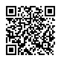 QR code zu Parkplatz Löwenplatz