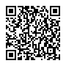 QR code zu  Parkplatz Park Piazzale Chiesa