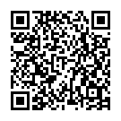 QR code zu Parkplatz Park Schiavotto Elettrodomestici