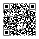QR code zu Parkplatz Parklpatz Cafe am Fünfknopfturm