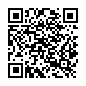 QR code zu  Parkplatz Punt Minger
