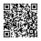 QR code zu Parkplatz Stedtlizentrum
