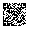 QR code zu Parkplatz Strelie