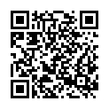 QR code zu Parkplatz Wiesplatz