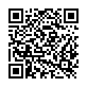 QR code zu Wanderung Pleisenspitze