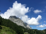 Über saftige Wiesen zur Einödalm mit <a href=/gipfel/maukspitze-744/>Maukspitze</a> im Hintergrunf,#
