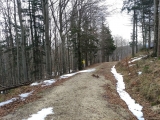 Abzweig zum Almkogel (Foto gespeichert zu <a href=/wanderweg/p_1165--almkogel-24373/>Weg</a>),#