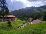 <a href=/freizeit/alpe-widderstein-153501/>Alpe Widderstein</a>  (Foto gespeichert zu Ziel Alpe Widderstein),#
