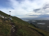 Andhauvet