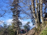 Aussichtspunkt (Foto gespeichert zu Ziel Aussichtspunkt 88901),#