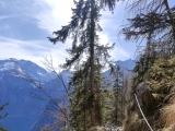 Rinnkendlsteig,#