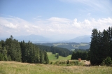 Auf dem Weg zum <b>Aussichtsturm</b> (Foto gespeichert zu <a href=/wanderweg/hoefle-alpe-aussichtsturm-hauchenberg-653/>Weg</a>),#