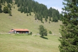Blick auf die Bärenmoosalp,#