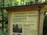 Infotafel: Große Tann' an der Bauernrast,#