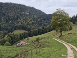Baumgartenalm (Foto gespeichert zu Ziel Baumgartenalm),#