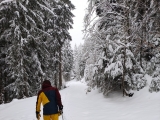 Im Winter mit Schlitten,#
