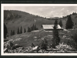 Obere Firstalm gegen <a href=/gipfel/stuempfling-14896/>Stümpfling</a> und Stümpflingsattel (Foto gespeichert zu Ausgangspunkt Berggasthof Obere Firstalm),#Historische Ansichtskarte zum <a href=/historisch/>Verkauf</a>