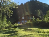 Brünnstein