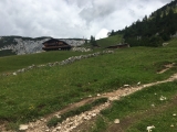 Die letzten Meter zur Alm (Foto gespeichert zu Ziel Dalfazalm),#