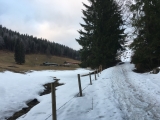 Unterhalb der Kühzaglalm (Foto gespeichert zu <a href=/wanderweg/kuehzaglalm-parkplatz-enterrottach-mautstelle-2072/>Weg</a>),#