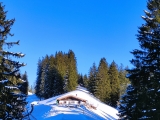 Boider-Alm (Foto gespeichert zu Ziel Boider Kaser),#