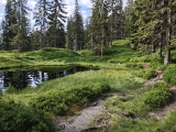 An vielen Moorweihern vorbei,#