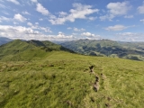Wiesenabstieg vom Feldalphorngipfel,#