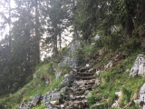 Die letzten Meter zur Hütte,#