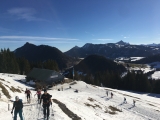 Die Buchel Alpe vor dem Zinken und Sorgschrofen (links im Hintergrund)