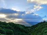 Cabeco Verde