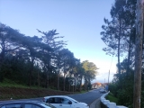 Levada da Serra do Faial