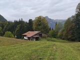 Chiemhauser-Alm (Foto gespeichert zu Ausgangspunkt Chiemhauser-Alm),#