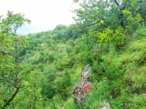 Beginn des drahtseilgesicherten Abstiegs in die Schlucht,#