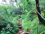 Seilsicherung im unteren Teil des Schluchtabstieges,#