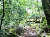 Seilgesichter Aufstieg zur Höhle,#