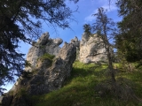 Die <b>drei Sennerinnen</b> ,#