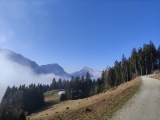 Blick zum Sorgschrofen (Foto gespeichert zu <a href=/wanderweg/parkplatz-sonnenlift-fichtelhuette-24497/>Weg</a>),#