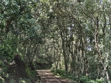 Die breite Pista Monta del Agua,#