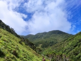 Kurz vor Faja da Caldeira de Cima,#