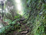 Eigentlich ein leichter Weg,#