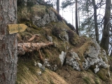 Da lang "zum Gipfel",#