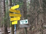 Hier links auf den direkten Weg zur <a href=/freizeit/wagneralm-112/>Wagneralm</a> (rechts alternativ über die Forststraße) (Foto gespeichert zu <a href=/wanderweg/waldparkplatz-bruchfeld-wagneralm-485/>Weg</a>) (Foto gespeichert zu Ausgangspunkt Wagneralm),#