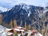 Feilalm (Foto gespeichert zu Ziel Feilalm),#