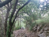Oben noch Wanderweg,#