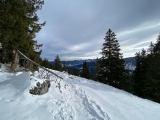 Blick kurz vorm Gipfel Richtung Südost (Foto gespeichert zu Ziel Fockenstein),#Foto: JuttaS