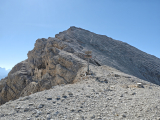 Blick von der <a href=/freizeit/forcella-granda-47799/>Forcella Granda</a>  auf den <a href=/gipfel/cresta-bianca-24941/>Cresta Bianca </a>  ,#