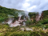 Furnas do Enxofre