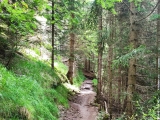 Waldweg,#